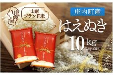 庄内町産 はえぬき 10kg 5kg×2袋 令和7年産 2025年産 ブランド米 コシヒカリの原点、亀の尾発祥の地 庄内