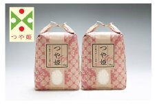 渡曾さんのうまい米！つや姫 10kg 令和7年産 2025年産 ブランド米 山形県コシヒカリの原点、亀の尾発祥の地 庄内