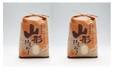 渡會さんのうまい米！はえぬき 10kg 5kg×2袋 令和7年産 2025年産 ブランド米 コシヒカリの原点、亀の尾発祥の地 庄内