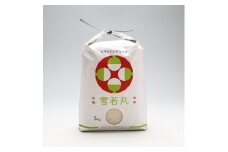 渡會さんのうまい米！雪若丸 5kg 令和7年産 2025年産 ブランド米 コシヒカリの原点、亀の尾発祥の地 庄内