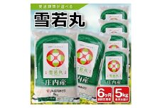 1285T02　【定期便】庄内産雪若丸5kg×6ヶ月連続(2月～7月)