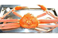 1222　庄内浜産「蒸しズワイガニ」650ｇ