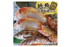 511　地魚おまかせセット　4～5種類入り計1.7kg以上