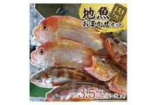 518　地魚おまかせセット　4～5種類入り計3.5kg以上
