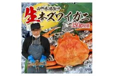 852　遊佐沖　生・本ズワイガニ 1匹 350g程度