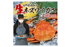 853　遊佐沖　生・本ズワイガニ 1匹 500g程度