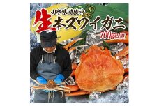 854　遊佐沖　生・本ズワイガニ 1匹 700g程度