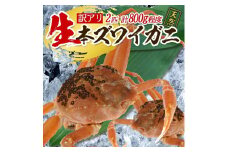 856　訳あり 遊佐沖 生・本ズワイガニ 2匹 計800g程度（1～2本足折れ）