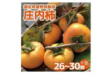 1215　遊佐町産特別栽培庄内柿5kg