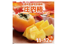 1216　遊佐町産特別栽培庄内柿2.5kg