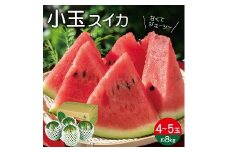 1225　遊佐町産小玉スイカ8kg