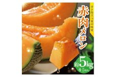 1224　遊佐町産赤肉メロン5kg