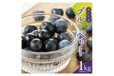 984　大粒ブルーベリー500ｇ×2パック計1kg 化粧箱入り
