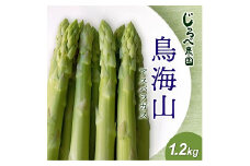 1221　鳥海山アスパラガス　1.2kg