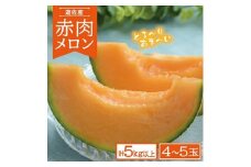 821R07　赤肉メロン　計5kg以上（4～5玉）