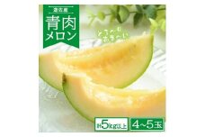 820R07　青肉メロン　計5kg以上（4～5玉）