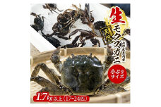 972　生・天然モクズガニ 1.7kg以上 小ぶりサイズ17～24匹