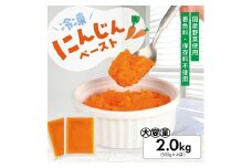 1176NN2000G　冷凍にんじんペースト2.0kg(500g×4袋)