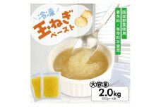 1179TN2000G　冷凍玉ねぎペースト2.0kg(500g×4袋)