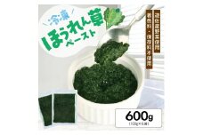 1181HO600G　冷凍ほうれん草ペースト600g(100g×6袋)