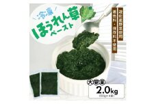 1181HO2000G　冷凍ほうれん草ペースト2.0kg(500g×4袋)
