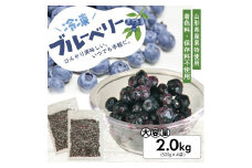 1177BB2000G　冷凍ブルーベリー2.0kg(500g×4袋)