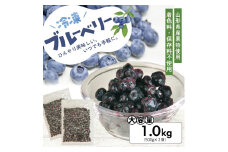 1177BB1000G　冷凍ブルーベリー1.0kg(500g×2袋)