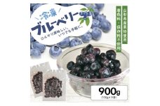 1177BB900G　冷凍ブルーベリー900g(100g×9袋)
