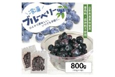 1177BB800G　冷凍ブルーベリー800g(100g×8袋)