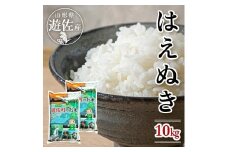 1233R06　遊佐産はえぬき10kg（令和6年産米）