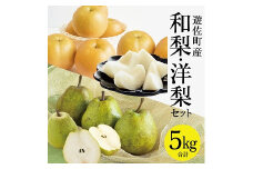 1235　遊佐町産和梨と洋梨のセット5kg