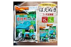 1243T11　【定期便】遊佐産はえぬき5kg×3ヶ月連続（11月～1月）
