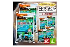 1244T10　【定期便】遊佐産はえぬき5kg×6ヶ月連続（10月～3月）