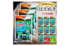 1245T10　【定期便】遊佐産はえぬき5kg×12ヶ月連続（10月～9月）