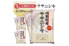 1263T11　【定期便】無洗米ササニシキ10kg×3ヶ月連続（11月～1月）