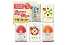 1267T12　【定期便】 無洗米 5銘柄（コシヒカリ つや姫 はえぬき 雪若丸 ひとめぼれ）食べ比べセット 各5kg 5ヶ月連続 計25kg(12月～4月)