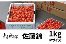 No.0212さくらんぼ「佐藤錦」Mサイズ　約1kg【2025年発送】