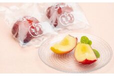 No.0096アップルシャーベット