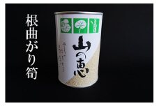 No.0550たけのこ 缶詰（根曲り筍）３缶セット