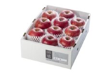 No.0673【限定100箱】 りんご「サンふじ」 約3kg【2025年度発送】