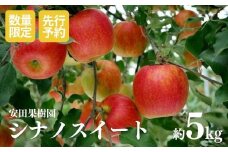 No.0780 りんご　シナノスイート　約5kg【2025年度発送】
