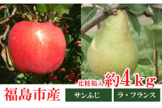 No.0791 りんご「サンふじ・ラフランス詰合せ」約4kg化粧箱入【2025年度発送】
