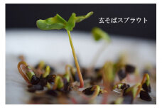 No.0837玄そば1㎏