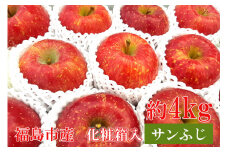 No.0945 ふくしまのりんご蜜姫「サンふじ」約4kg化粧箱入【2025年度発送】