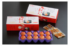 No.0980森山の温泉たまご　たまご美人赤玉10個入り×6箱セット