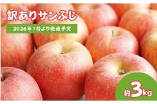 No.2064 りんご「サンふじ」家庭用 約3kg【2026年１月より発送】