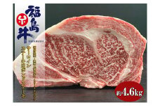 No.1074福島県産 特選福島牛サーロインポンドステーキ　4.6Kg