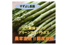 No.1059 すずよし農園 アスパラガス 1.5kg箱入【2025年発送】