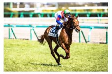 No.2011 競馬ジョッキー勝負服　タイプＢ