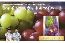 No.1142ぶどう　シャインマスカット＆マイハート２房詰め合わせ　化粧箱入【2025年12月発送】
